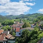 Ferienwohnungen Buehlertal *