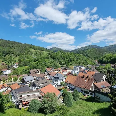شقة Ferienwohnungen Buehlertal *