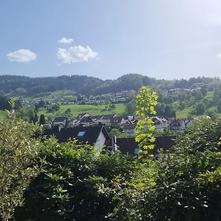 Ferienwohnungen Buehlertal شقة