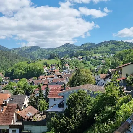 Ferienwohnungen Buehlertal *