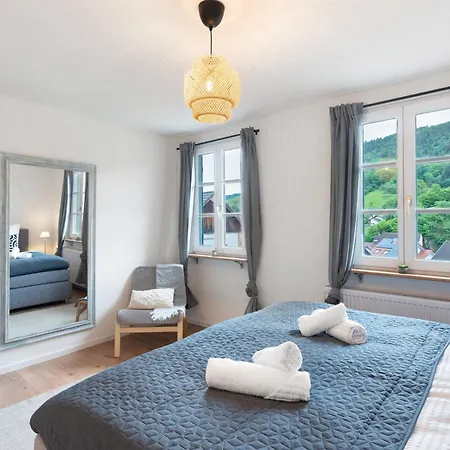 Ferienwohnungen Buehlertal