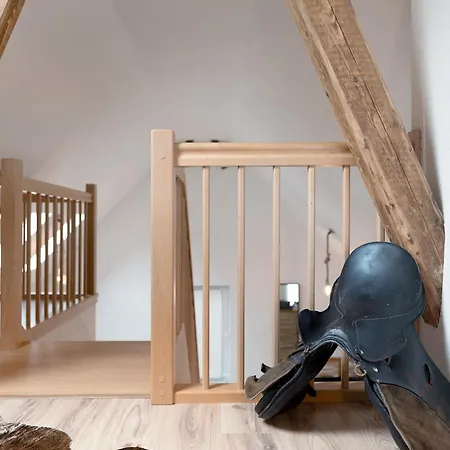Ferienwohnungen Buehlertal Appartement *